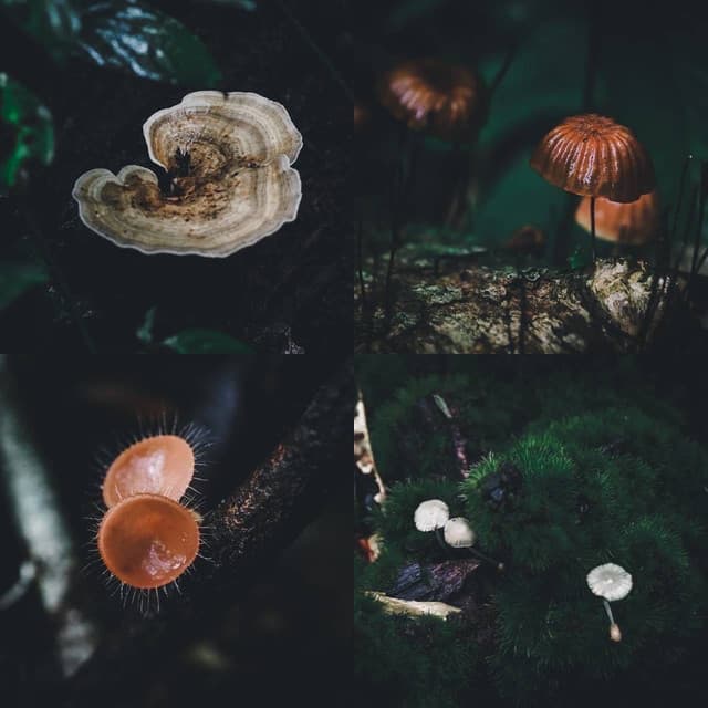 places