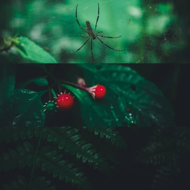 places