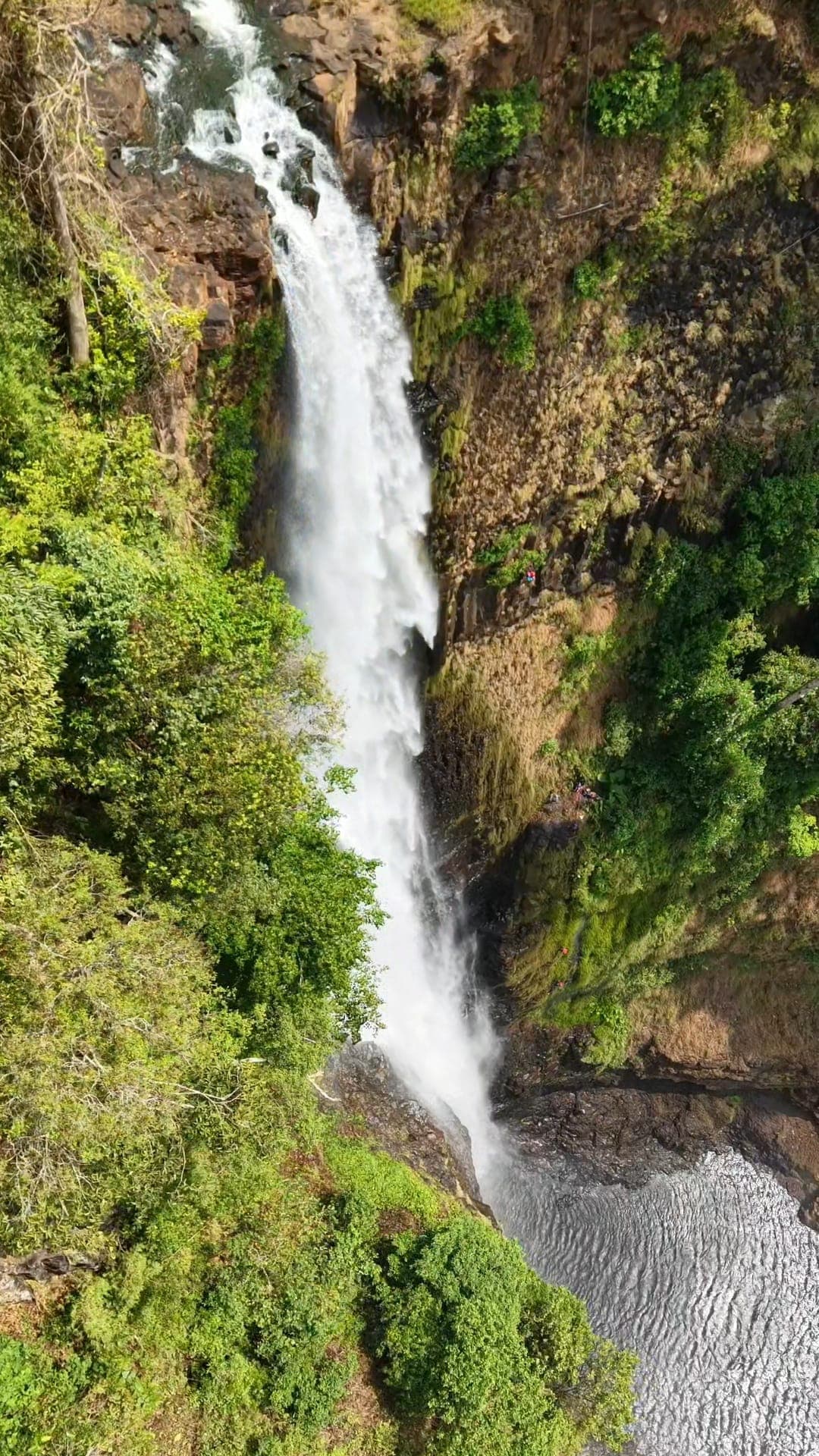 โรยตัวตาดคต สปป.ลาว 3 วัน 2 คืน | เข้าป่ากับวุ้นเส้น